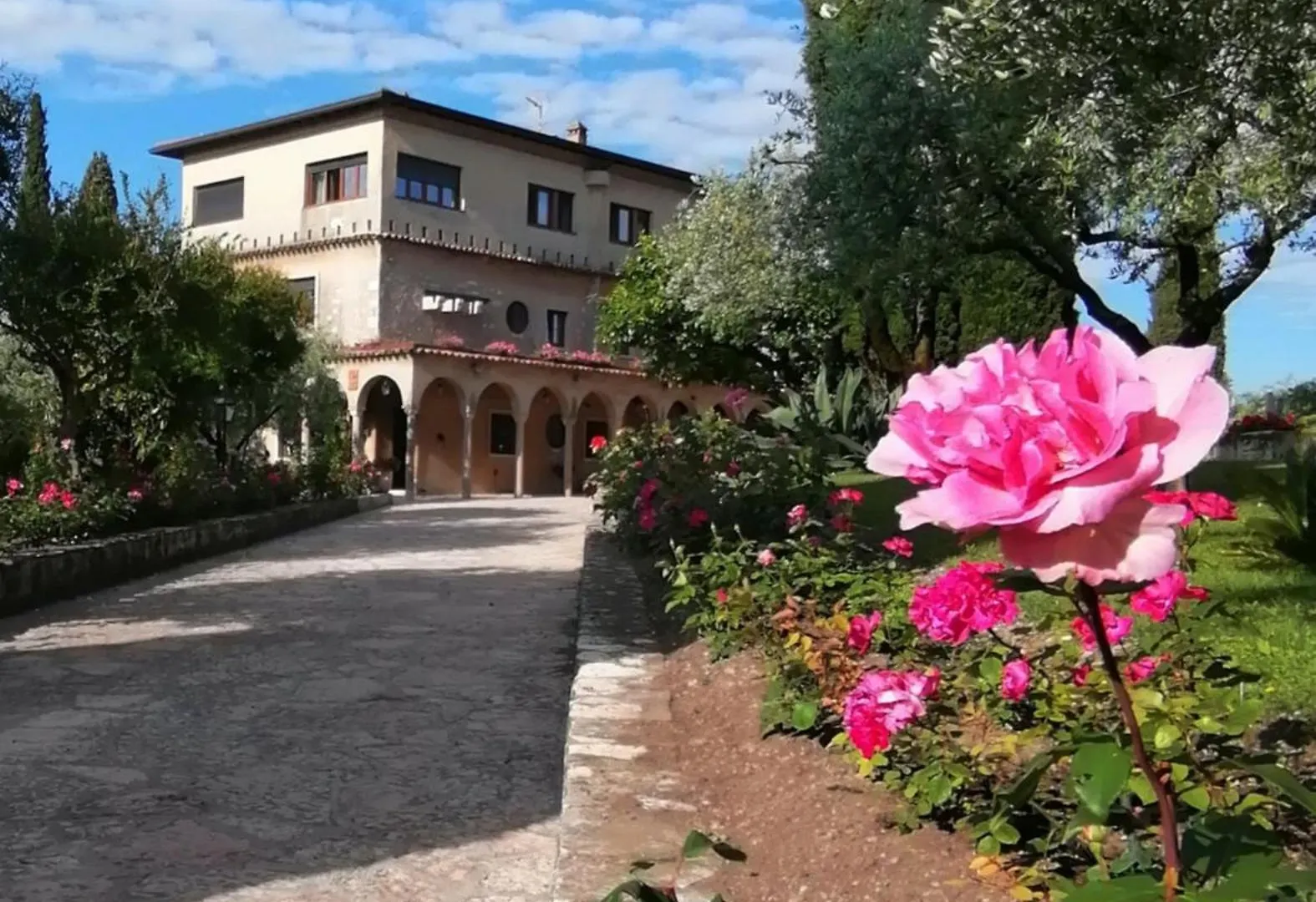 Villa Paradiso contacts